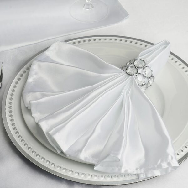 Seamless Satin Cloth Dinner Napkins, Wrinkle Resistant | 20"X20", RES - Image 8